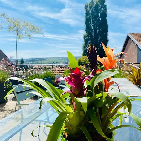 Guest house Kundalini - Vincelles (Marne)