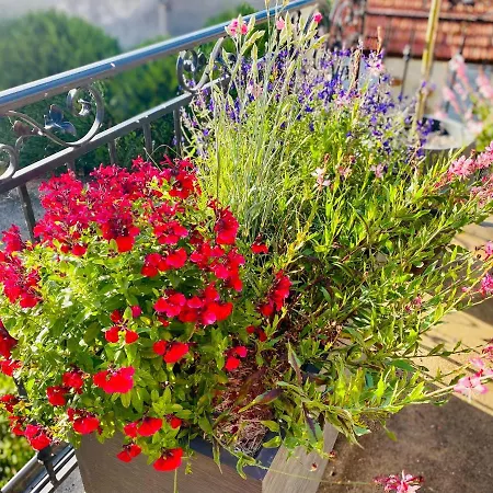 Kundalini - Guest house Vincelles (Marne)